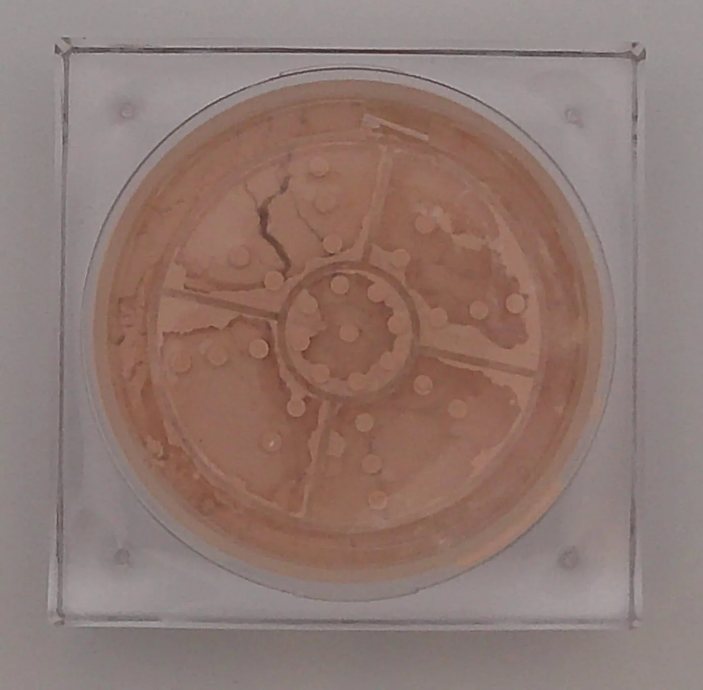 | Loose Setting Powder with Vitamin E | Matte FInish (C Beige, 4.23 Ounces)