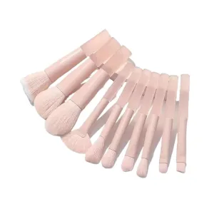 12Pcs Blue Makeup Brushes Set, Professional Foundation Powder Blending Blush Concealer Synthetic Fiber Bristles Brush(Apricot)