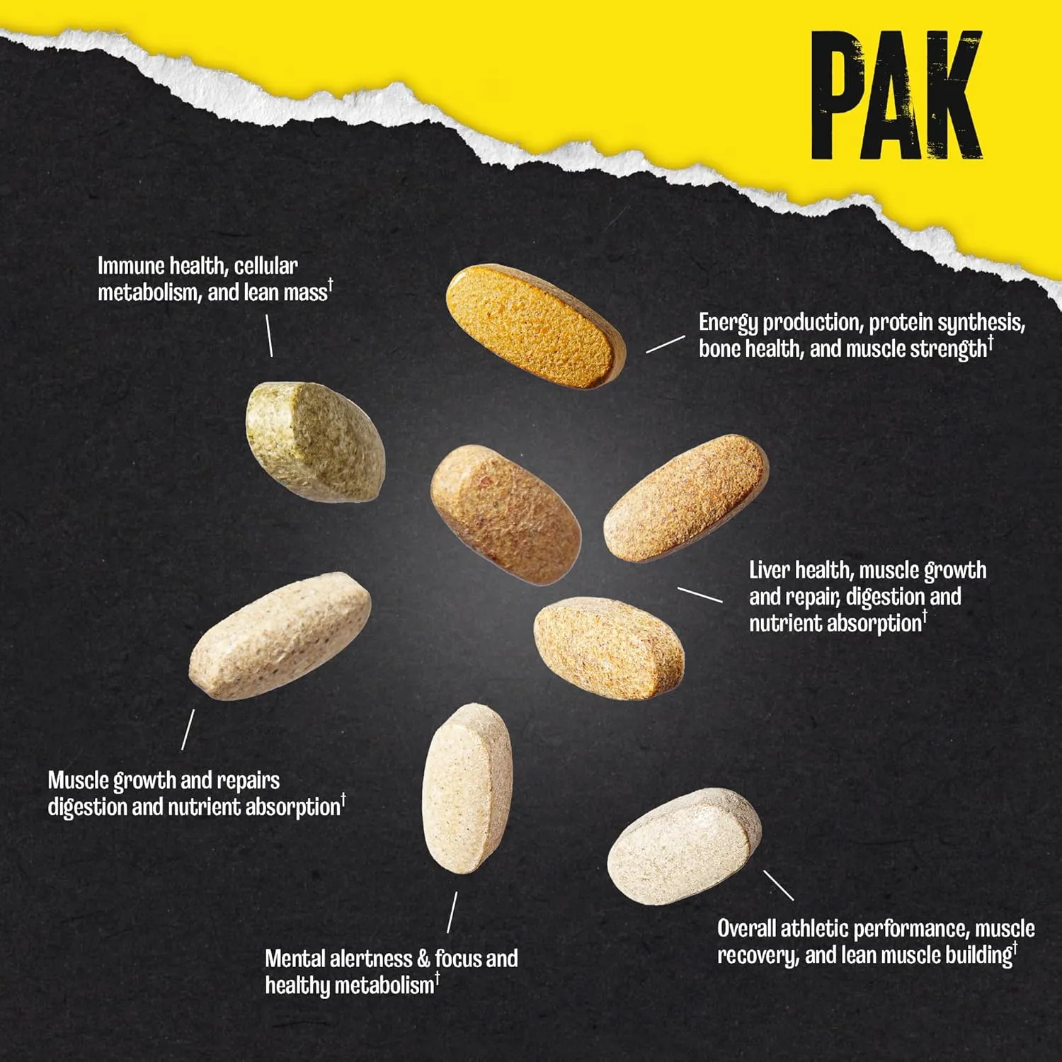 Animal Pak - Convenient Multivitamin for Men & Women Daily All-in-One Vitamin & Supplement Pack - Zinc, Vitamins C, B, D, Amino Acids, and Immune Support - Sports Nutrition Performance - 44 Count