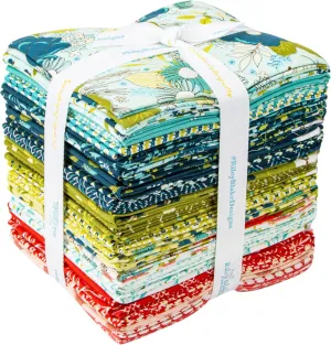Sandy Gervais Feed My Soul 30 Fat Quarters Riley Blake Designs FQ-14550-30, Assorted