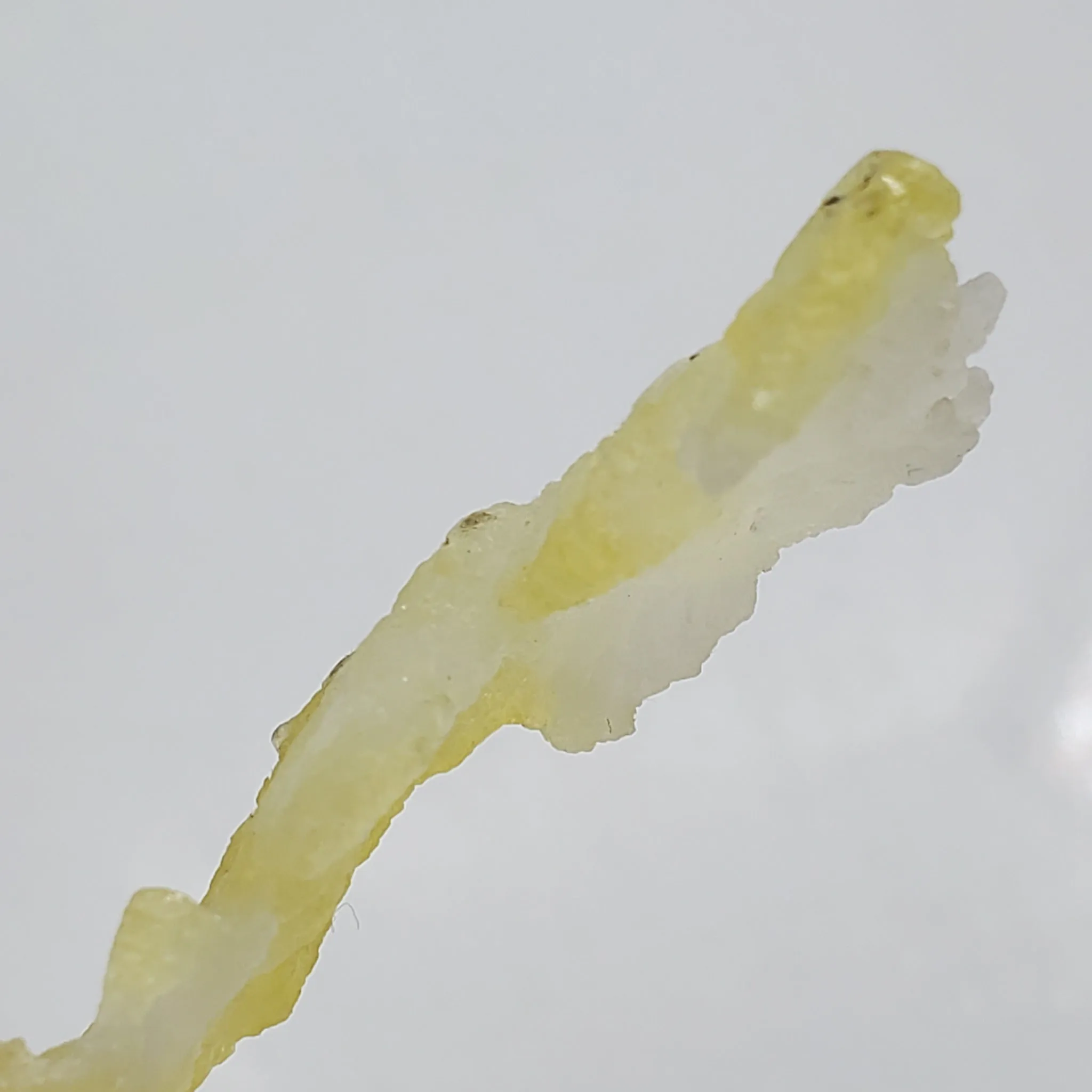 SWJ0113 - Finest Grade Rare Lemon-Yellow Brucite - Balochistan, Pakistan